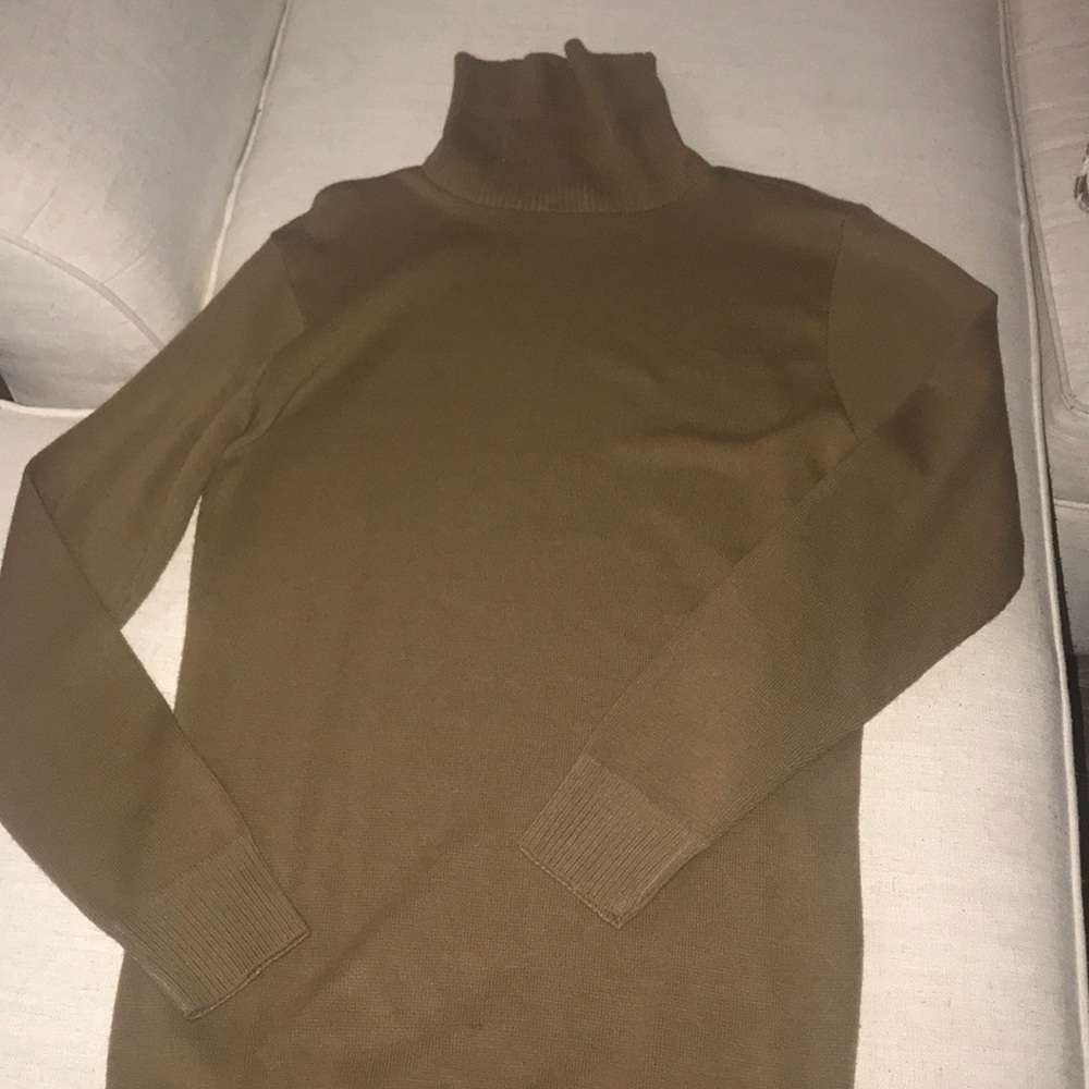 Long brown turtleneck